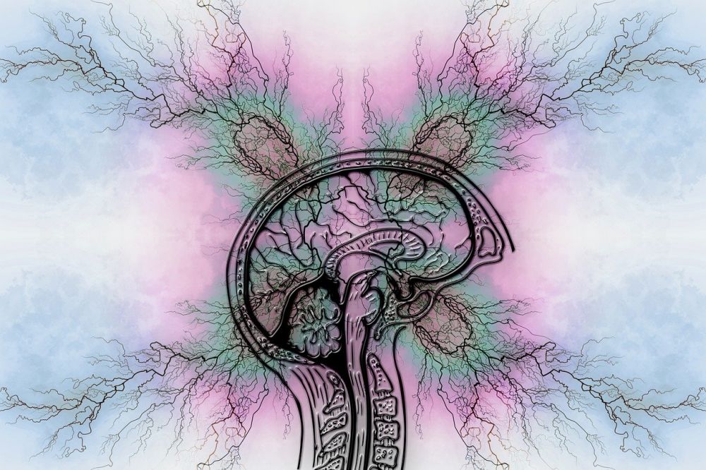 Add diagnose  når konsentrasjonsvansker blir et hinder i hverdagen